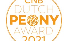 News image: Wie wint de CNB Dutch Peony Award 2021?